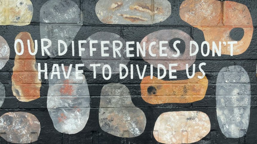 our differences don't have to divide us written